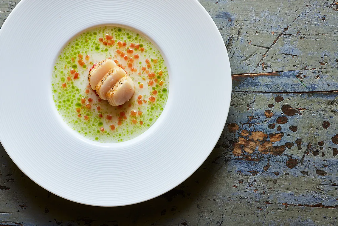 Sterne-Glanz am Ulmer Münster: Alina Meißner-Bebrout. — Dine