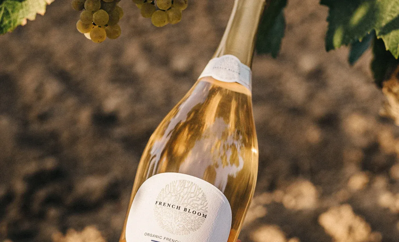 French Bloom – Alkoholfreier Savoir‑Faire für eine neue Generation des Genusses — Dine