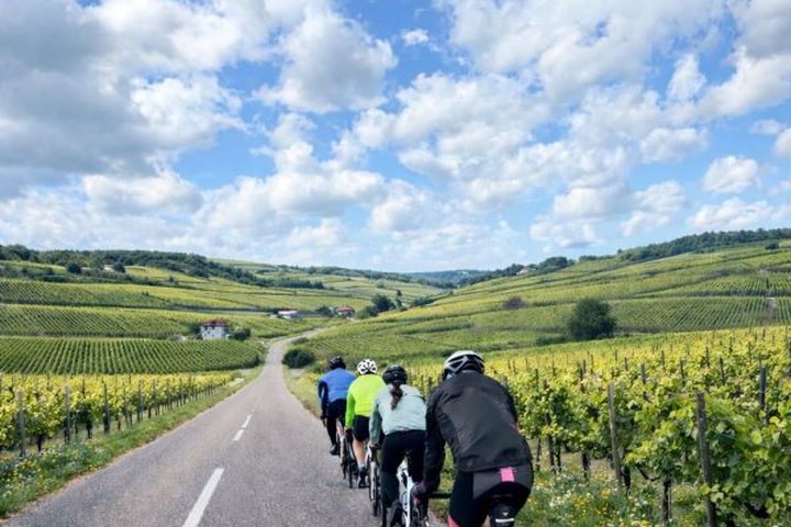 Drei Weinberge Wertung — Radroute in Carnuntum
